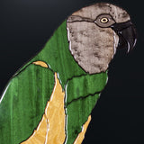 Senegal Parrots Exotic Wood Mosaic